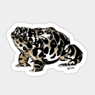 Spotted Toad Sticker